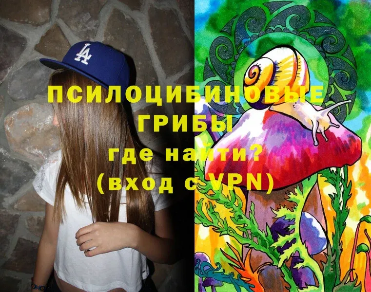 Галлюциногенные грибы Cubensis  как найти   Гай 